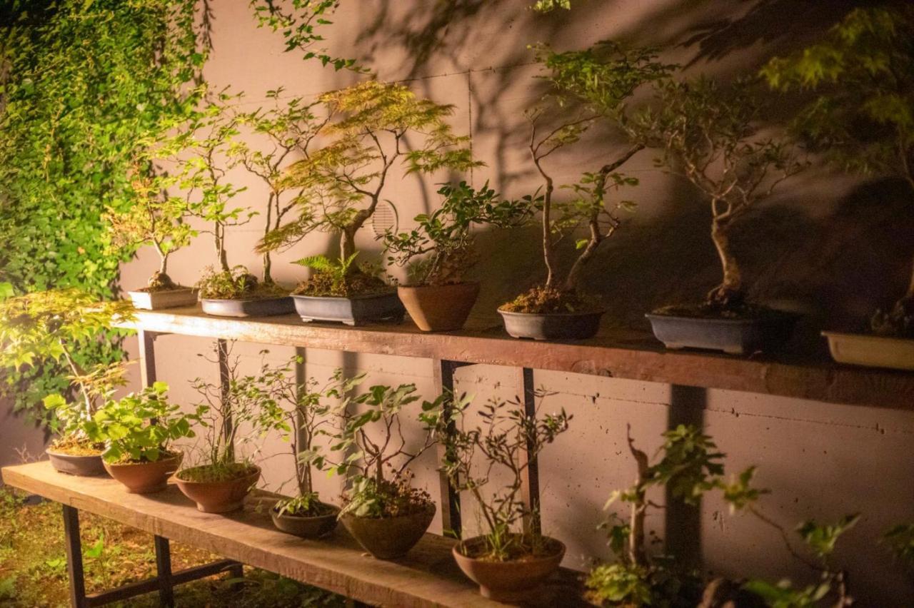 Il Giardino Segreto Lejlighed Carbognano Eksteriør billede